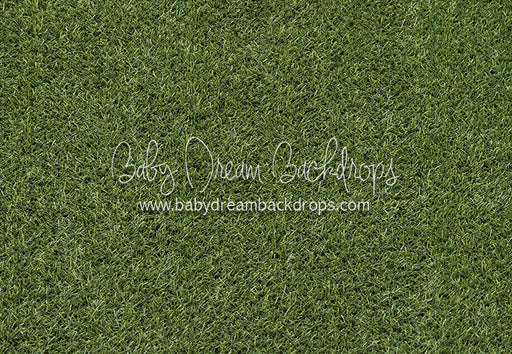 Stadium Turf Floor (CC)