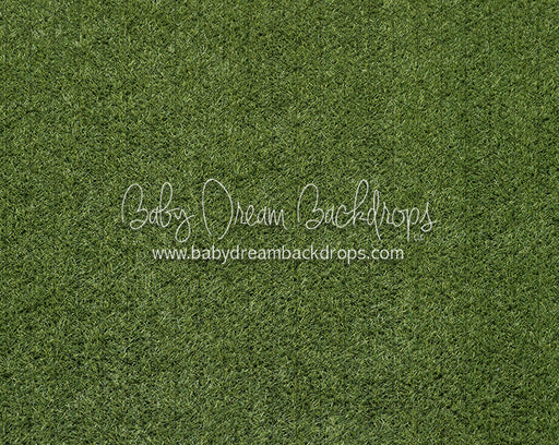 Stadium Turf Floor (CC)