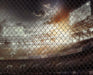 Stadium Champ Fence