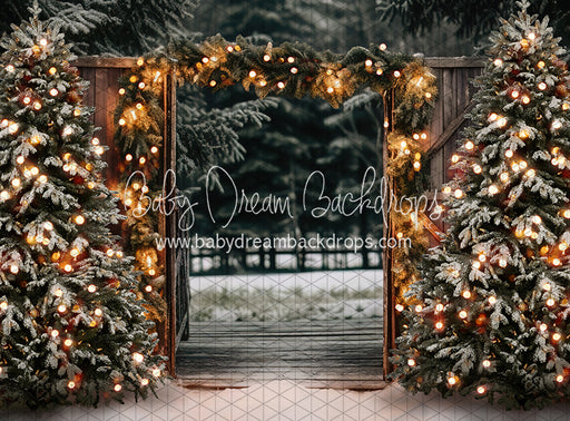 Stroll Thru the Glow (JA)