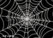 Stuck in a Web