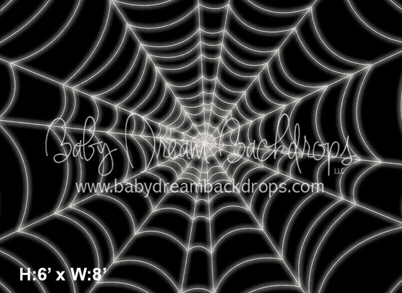 Stuck in a Web
