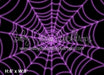 Stuck in a Web Purple