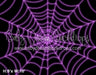 Stuck in a Web Purple
