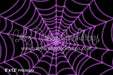 Stuck in a Web Purple