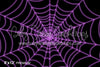 Stuck in a Web Purple