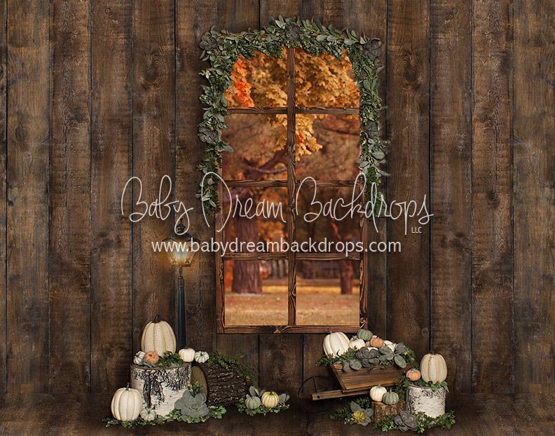 Succulent Autumn Window