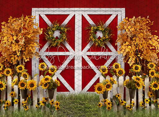 Suflower Barn Fall (JA)