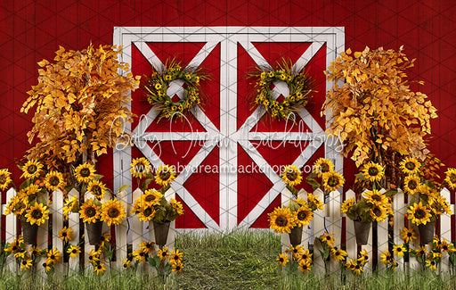 Suflower Barn Fall (JA)