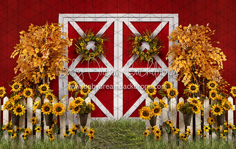 Suflower Barn Fall (JA)