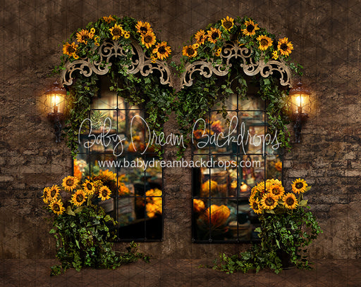 Sunflower Suite Windows (JA)