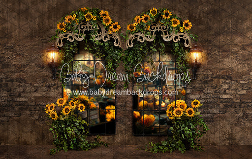 Sunflower Suite Windows (JA)