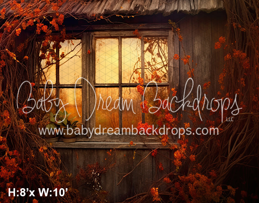 Sunset Country Window Fall (SM)