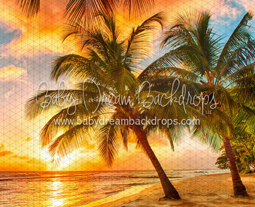 Sunset Dreams Beach (CC)