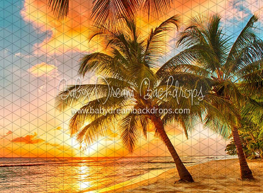 Sunset Dreams Beach (CC)