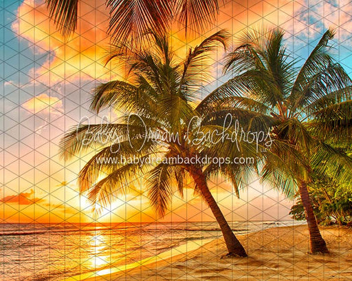 Sunset Dreams Beach (CC)