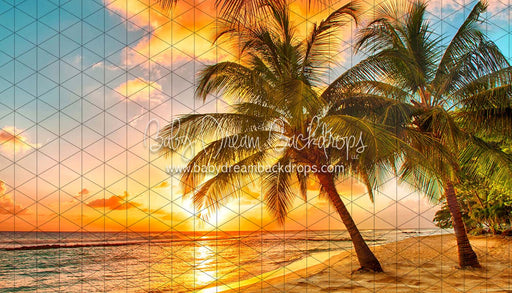 Sunset Dreams Beach (CC)