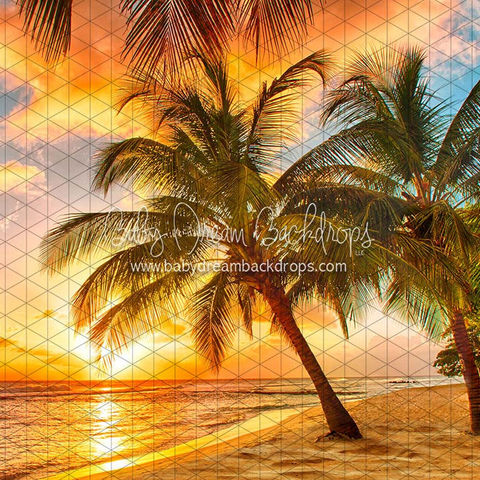 X Drop sunset dreams beach cc