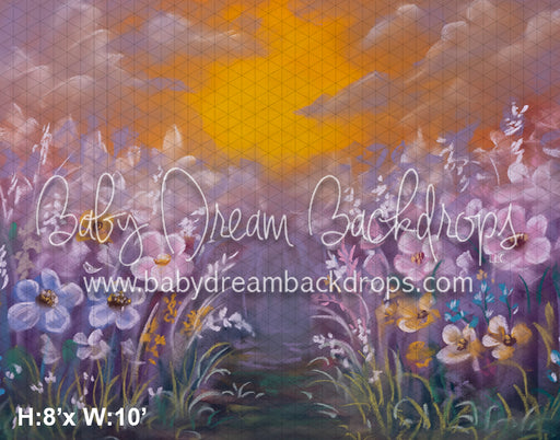 Sunset Flower Field (BD)