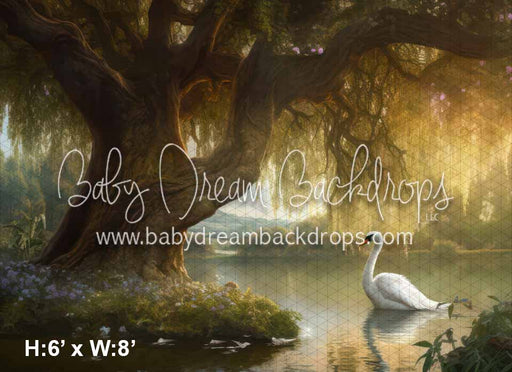 Sunset Swan Lake (KS)