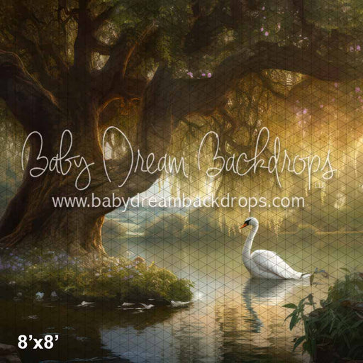 Sunset Swan Lake (KS)