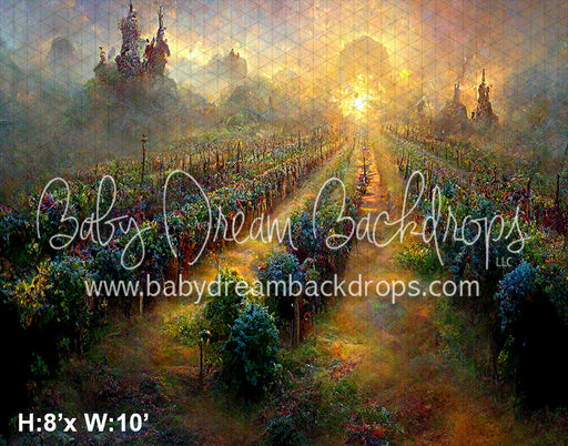 Sunset Vineyard (SM)