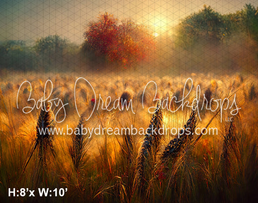 Sunset Wheat Field (SM)