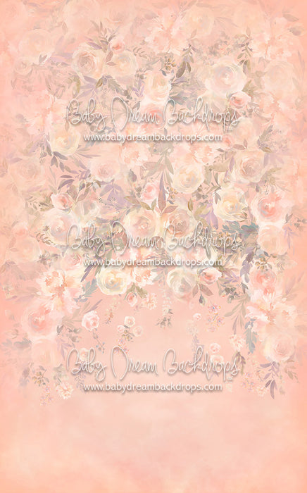 Sweeps Bianca - 10x16 - CC (Premium)