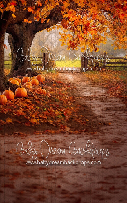 Sweep Under The Autumn Tree (BD)