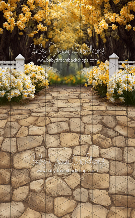 Sweeps Dreamy Daffodil Stroll (JA)