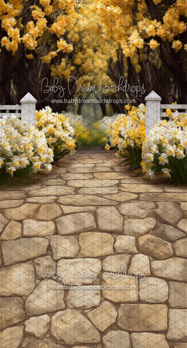 Sweeps Dreamy Daffodil Stroll (JA)