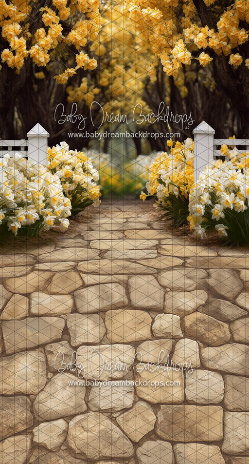 Sweeps Dreamy Daffodil Stroll (JA)