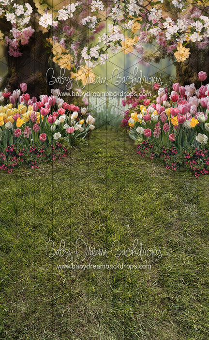 Sweeps May Flowers Path (Grass) (JA)