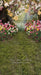 Sweeps May Flowers Path (Grass) (JA)