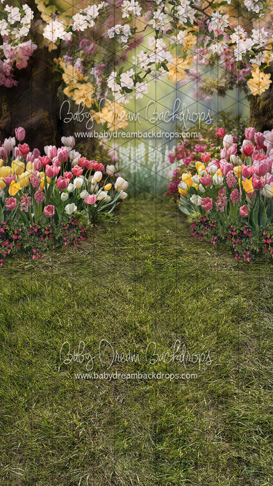 Sweeps May Flowers Path (Grass) (JA)