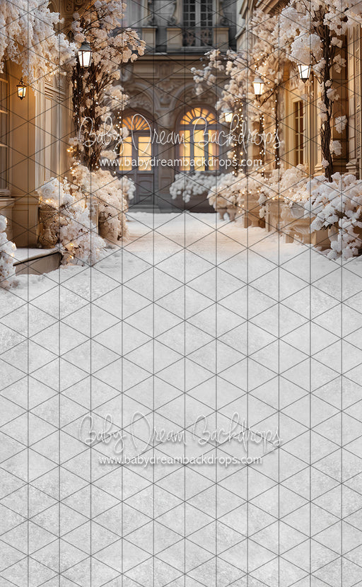 Sweeps Paris for the Holidays Stroll (JA)