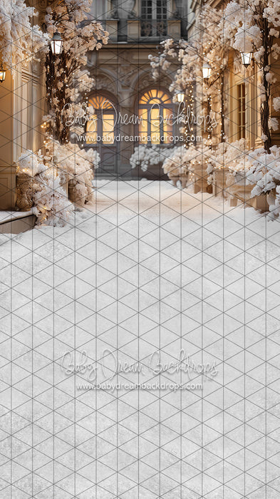 Sweeps Paris for the Holidays Stroll (JA)