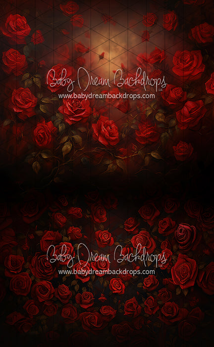 Sweeps Rise of the Roses (LL)