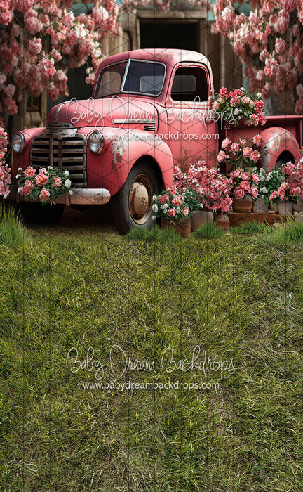 Sweeps Springtime Truck Pink (JA)