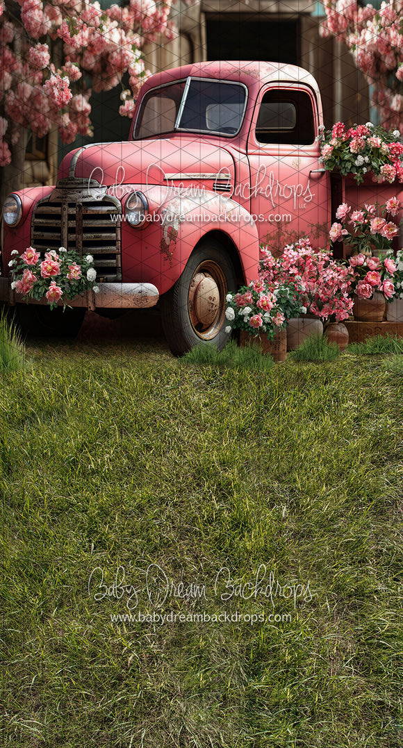 Sweeps Springtime Truck Pink (JA)