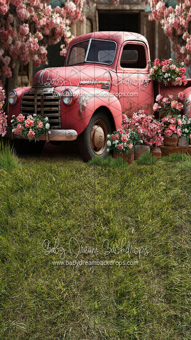 Sweeps Springtime Truck Pink (JA)