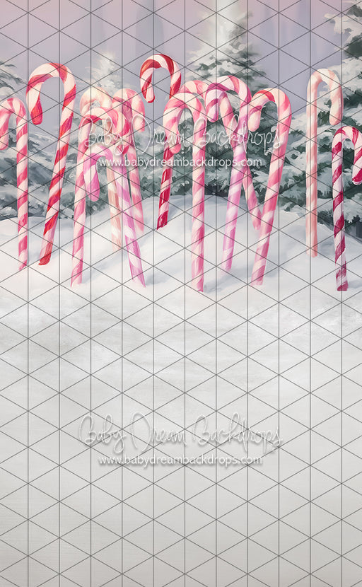 Sweeps Sweet Candy Canes (LL)