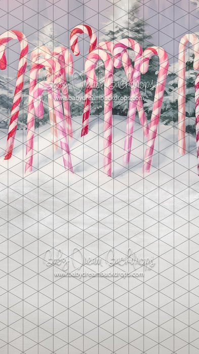 Sweeps Sweet Candy Canes (LL)