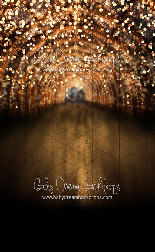 Sweeps Tinsel Town Tunnel