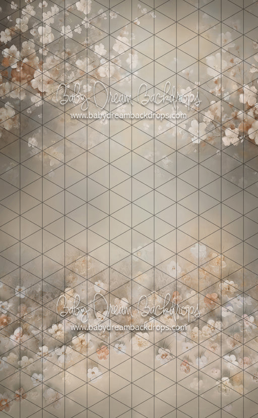 Sweeps Tip Toe To Dreamland (LL)