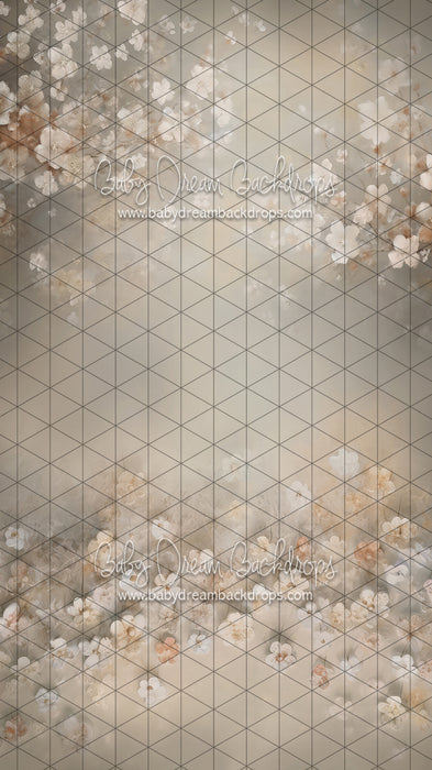 Sweeps Tip Toe To Dreamland (LL)