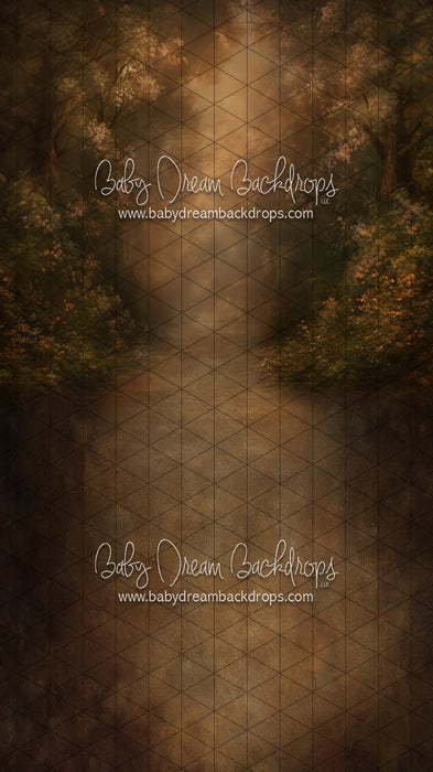 Sweeps Walk into the Past (LL)