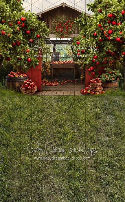 Sweeps Apple Orchard Barn (Grass) (JA)