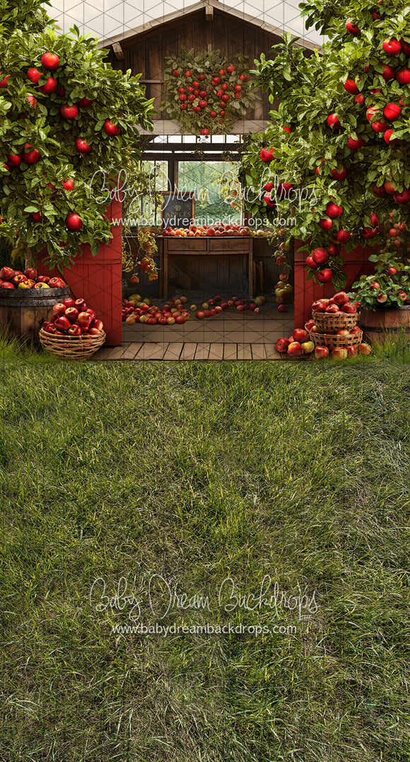 Sweeps Apple Orchard Barn (Grass) (JA)