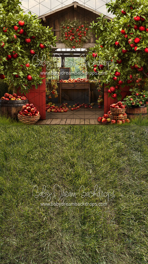 Sweeps Apple Orchard Barn (Grass) (JA)